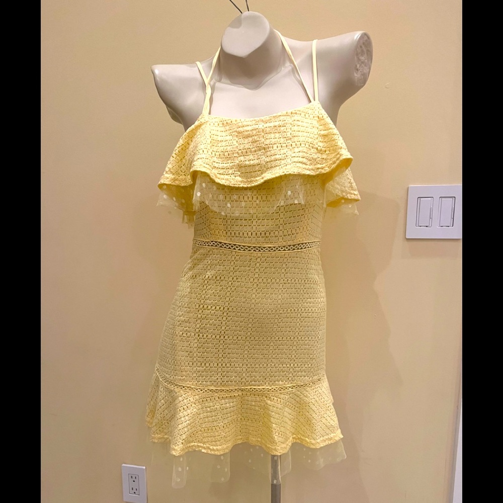 Ruffle dress with Swiss dots mesh ruffle with zipper back
